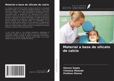 Buchcover von Material a base de silicato de calcio