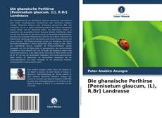 Buchcover von Die ghanaische Perlhirse [Pennisetum glaucum, (L), R.Br] Landrasse