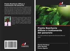 Copertina di Pianta Boerhavia diffusa e trattamento del panarizio