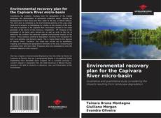 Bookcover of Environmental recovery plan for the Capivara River micro-basin