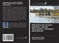 Обложка Hidráulica de canales abiertos: nuevas direcciones y enfoques alternativos