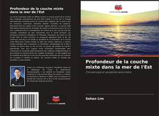Portada del libro de Profondeur de la couche mixte dans la mer de l'Est