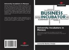 Buchcover von University Incubators in Manaus