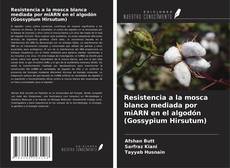 Copertina di Resistencia a la mosca blanca mediada por miARN en el algodón (Gossypium Hirsutum)
