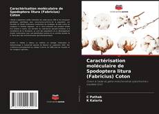 Couverture de Caractérisation moléculaire de Spodoptera litura (Fabricius) Coton