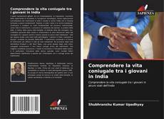 Copertina di Comprendere la vita coniugale tra i giovani in India