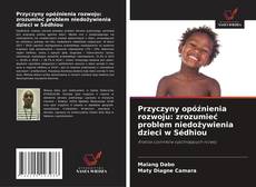 Przyczyny opóźnienia rozwoju: zrozumieć problem niedożywienia dzieci w Sédhiou kitap kapağı