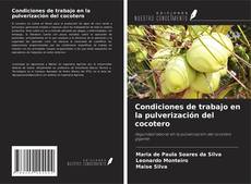Bookcover of Condiciones de trabajo en la pulverización del cocotero