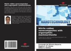 Nitrile rubber nanocomposites with organophilic montmorillonite的封面