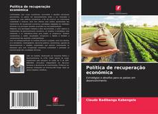 Política de recuperação económica的封面