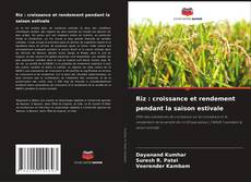 Couverture de Riz : croissance et rendement pendant la saison estivale