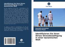 Обложка Identifizieren Sie Ihren Stress Stressbewältigung in einer dynamischen Welt