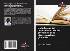Un'indagine sui determinanti socio-economici della disoccupazione giovanile的封面