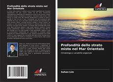 Copertina di Profondità dello strato misto nel Mar Orientale