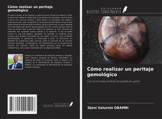 Copertina di Cómo realizar un peritaje gemológico