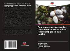 Capa do livro de Résistance aux aleurodes chez le coton (Gossypium Hirsutum) grâce aux miARN 