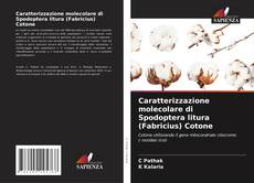 Couverture de Caratterizzazione molecolare di Spodoptera litura (Fabricius) Cotone