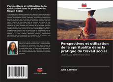 Buchcover von Perspectives et utilisation de la spiritualité dans la pratique du travail social
