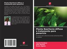 Buchcover von Planta Boerhavia diffusa e tratamento para panarício