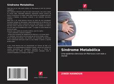 Обложка Síndrome Metabólica