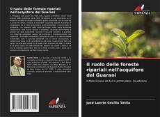 Capa do livro de Il ruolo delle foreste ripariali nell'acquifero del Guarani 