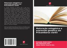 Portada del libro de Maturação ontogénica e expressão genética em Procambarus clarkii