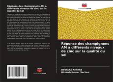 Bookcover of Réponse des champignons AM à différents niveaux de zinc sur la qualité du sol