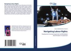 Bookcover of Navigating Labour Rights: