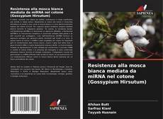 Bookcover of Resistenza alla mosca bianca mediata da miRNA nel cotone (Gossypium Hirsutum)