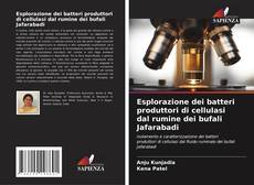Copertina di Esplorazione dei batteri produttori di cellulasi dal rumine dei bufali Jafarabadi