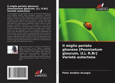 Borítókép a  Il miglio perlato ghanese [Pennisetum glaucum, (L), R.Br] Varietà autoctona - hoz