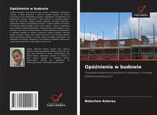 Buchcover von Opóźnienia w budowie