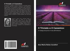 Bookcover of Il Triviale e il Canonico: