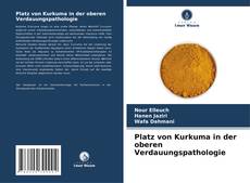 Buchcover von Platz von Kurkuma in der oberen Verdauungspathologie
