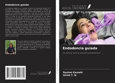 Couverture de Endodoncia guiada