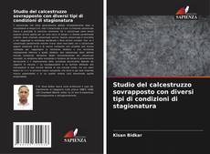 Bookcover of Studio del calcestruzzo sovrapposto con diversi tipi di condizioni di stagionatura