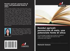 Residui agricoli: pannocchie di mais, una potenziale fonte di silice kitap kapağı