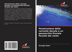 Borítókép a  Penetrazione della corrente dovuta a un pennacchio fluviale forzato dal vento - hoz