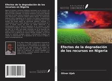 Copertina di Efectos de la degradación de los recursos en Nigeria