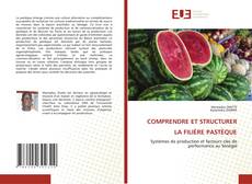 Couverture de COMPRENDRE ET STRUCTURER LA FILIÈRE PASTÈQUE