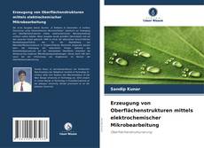 Erzeugung von Oberflächenstrukturen mittels elektrochemischer Mikrobearbeitung kitap kapağı
