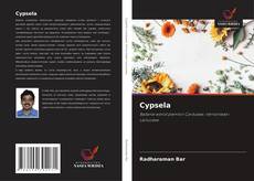 Couverture de Cypsela