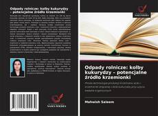 Couverture de Odpady rolnicze: kolby kukurydzy – potencjalne źródło krzemionki