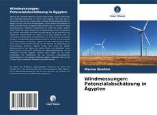 Windmessungen: Potenzialabschätzung in Ägypten kitap kapağı