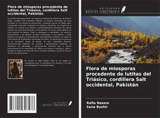 Portada del libro de Flora de miosporas procedente de lutitas del Triásico, cordillera Salt occidental, Pakistán