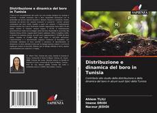 Portada del libro de Distribuzione e dinamica del boro in Tunisia