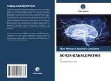 Buchcover von SCN2A-KANALOPATHIE