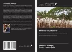 Capa do livro de Transición pastoral: 