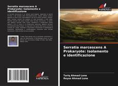 Обложка Serratia marcescens A Prokaryote: Isolamento e identificazione