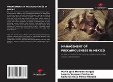 Обложка MANAGEMENT OF PRECARIOUSNESS IN MEXICO